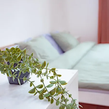 Elegance Apartmán *